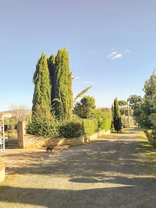 Villetta Rio, Large Private Garden Cecina (Livorno) Exteriér fotografie